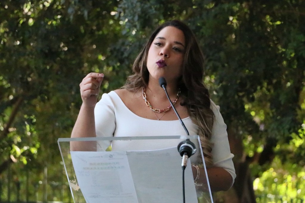 Avanza en Michoacán construcción de una ley más cercana en materia de salud y derechos humanos: Xóchitl Ruiz