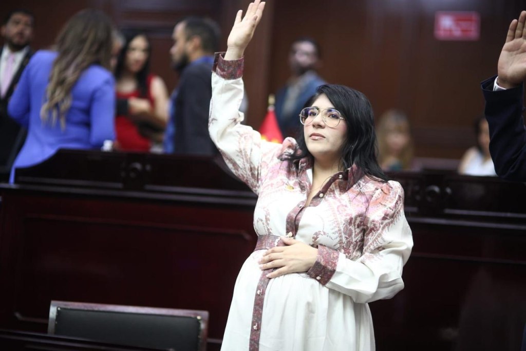 Vanhe Caratachea presenta iniciativa para proteger de violencia de género a madres jefas de familia