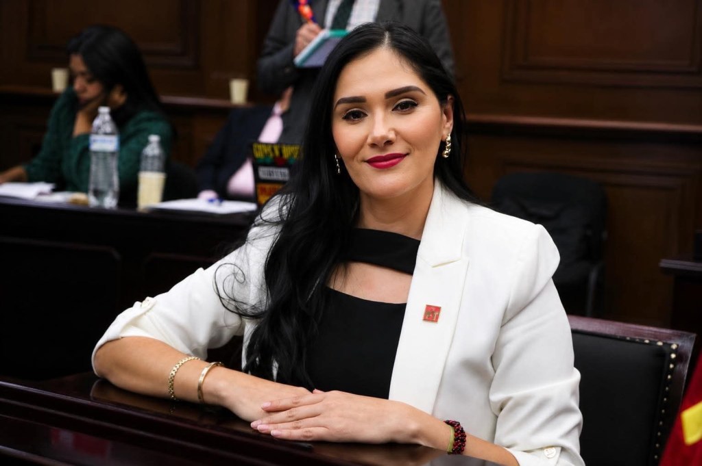 Tras aprobación de reforma, Diana Espinoza celebra que se promueva la escritura manuscrita en educación&nbsp;básica