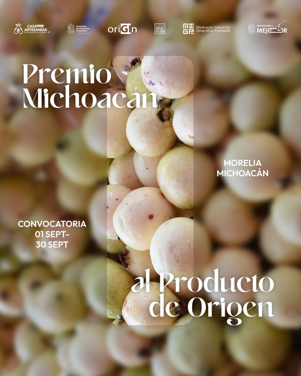 Premio Michoacán al Producto de Origen busca reconocer la excelencia y el orgullo local